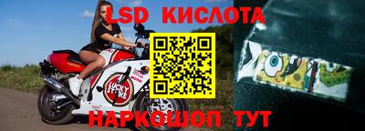 гидра Кандалакша