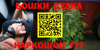 гидра Кандалакша