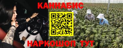гидра Кандалакша