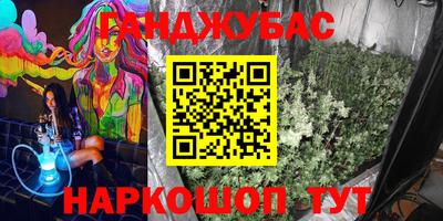 гидра Кандалакша