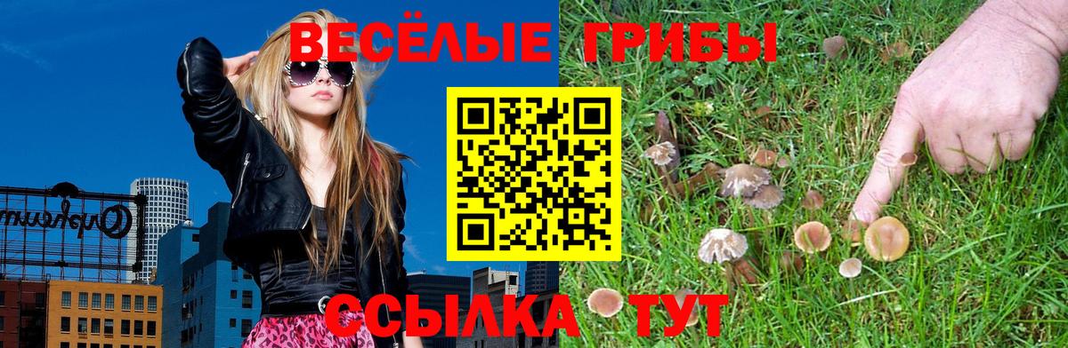 Конаково  Галлюциногенные грибы ЛСД  дарнет шоп  Вход с VPN 